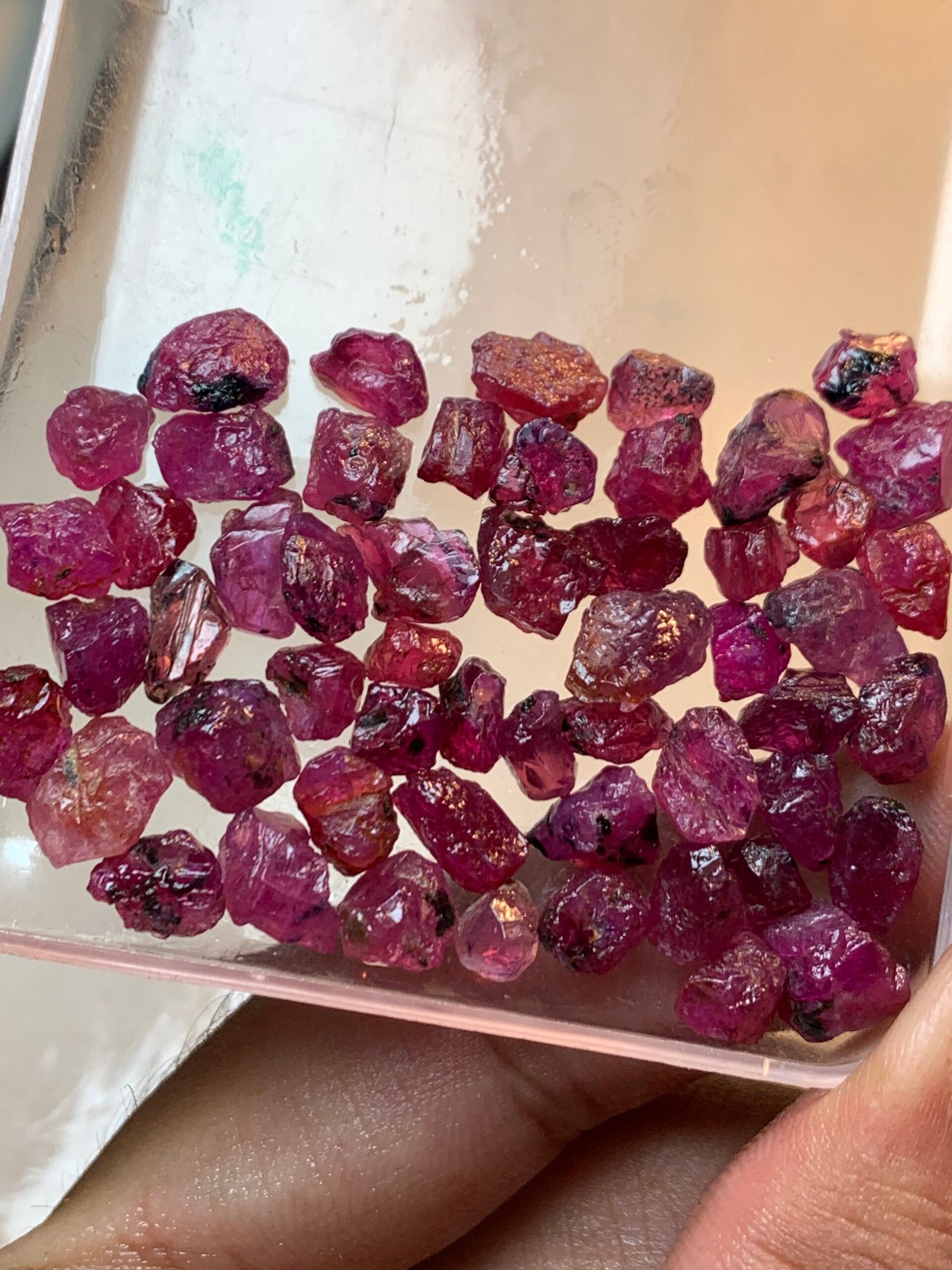 Fine Rough Rubies, 1400 Carats - Image 11
