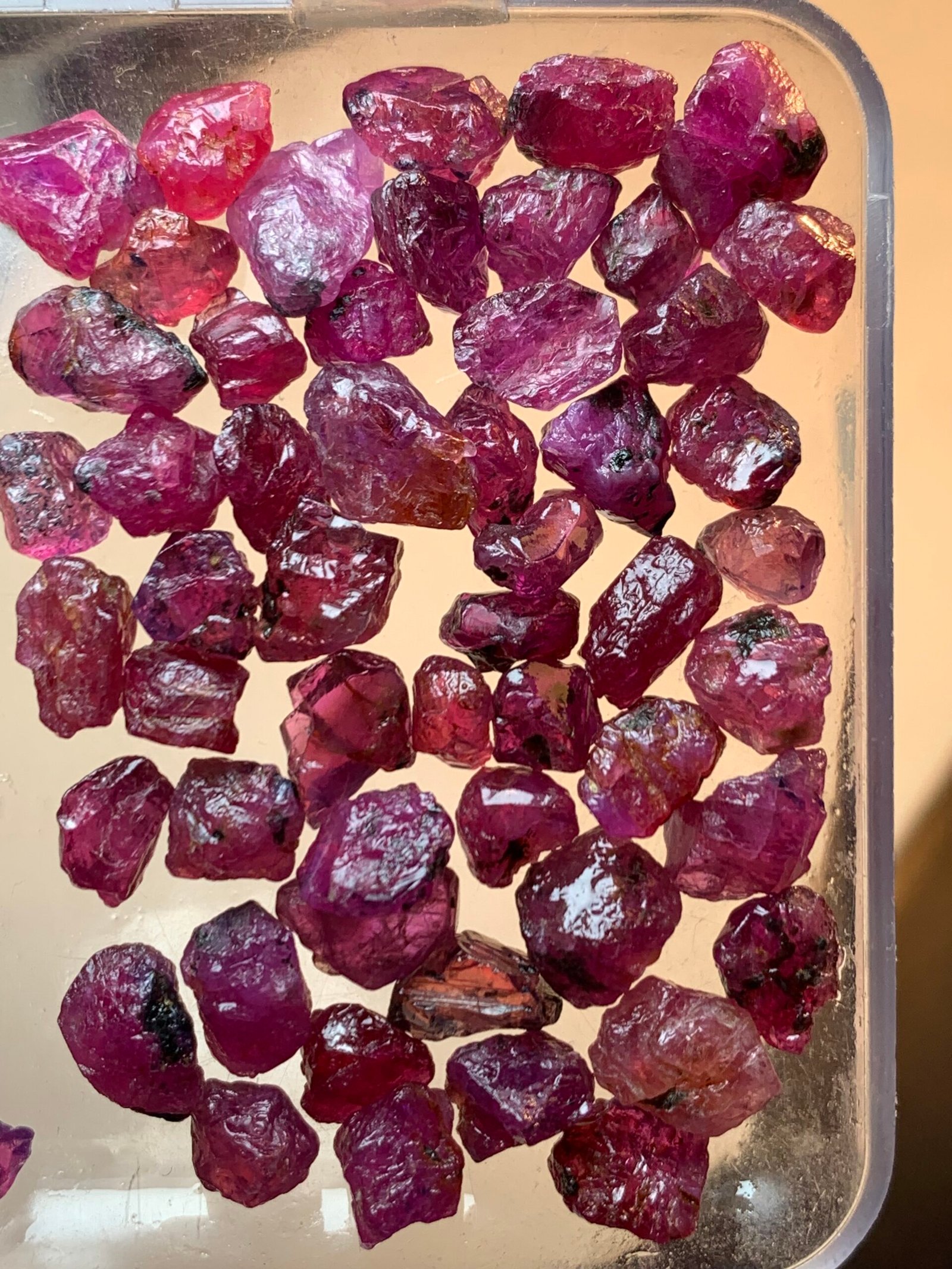 Fine Rough Rubies, 1400 Carats - Image 10