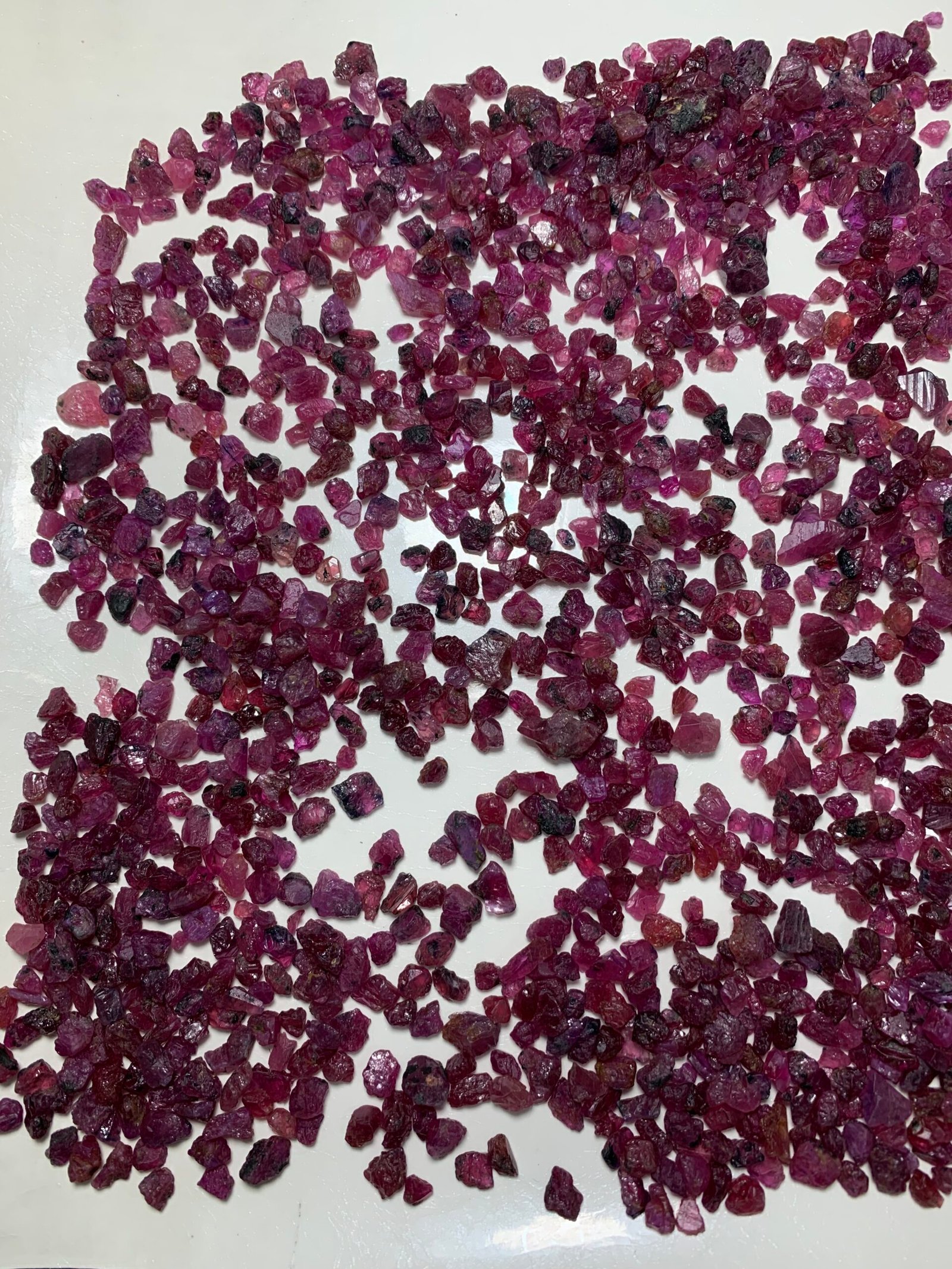 Fine Rough Rubies, 1400 Carats - Image 2
