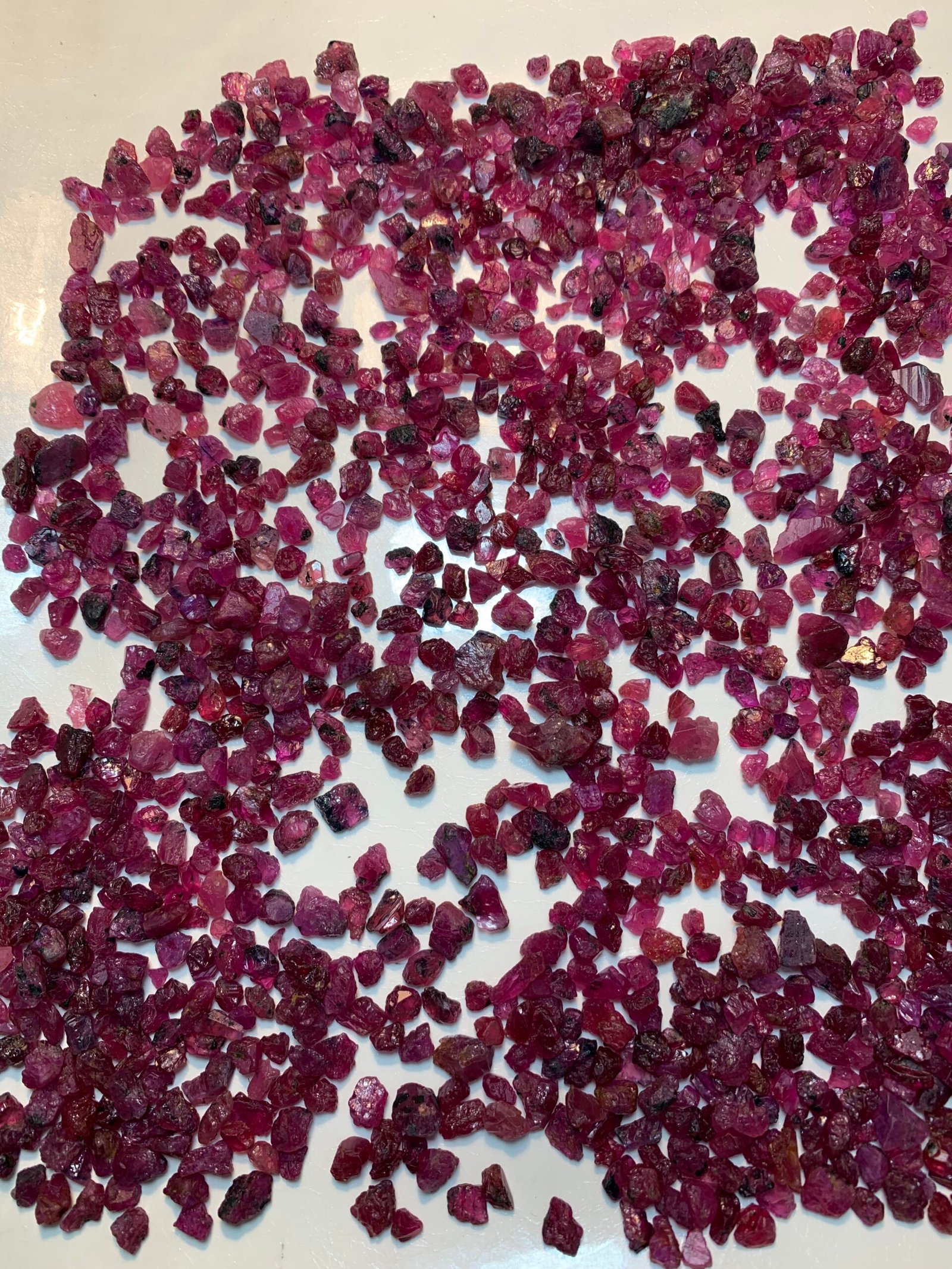 Fine Rough Rubies, 1400 Carats - Image 6