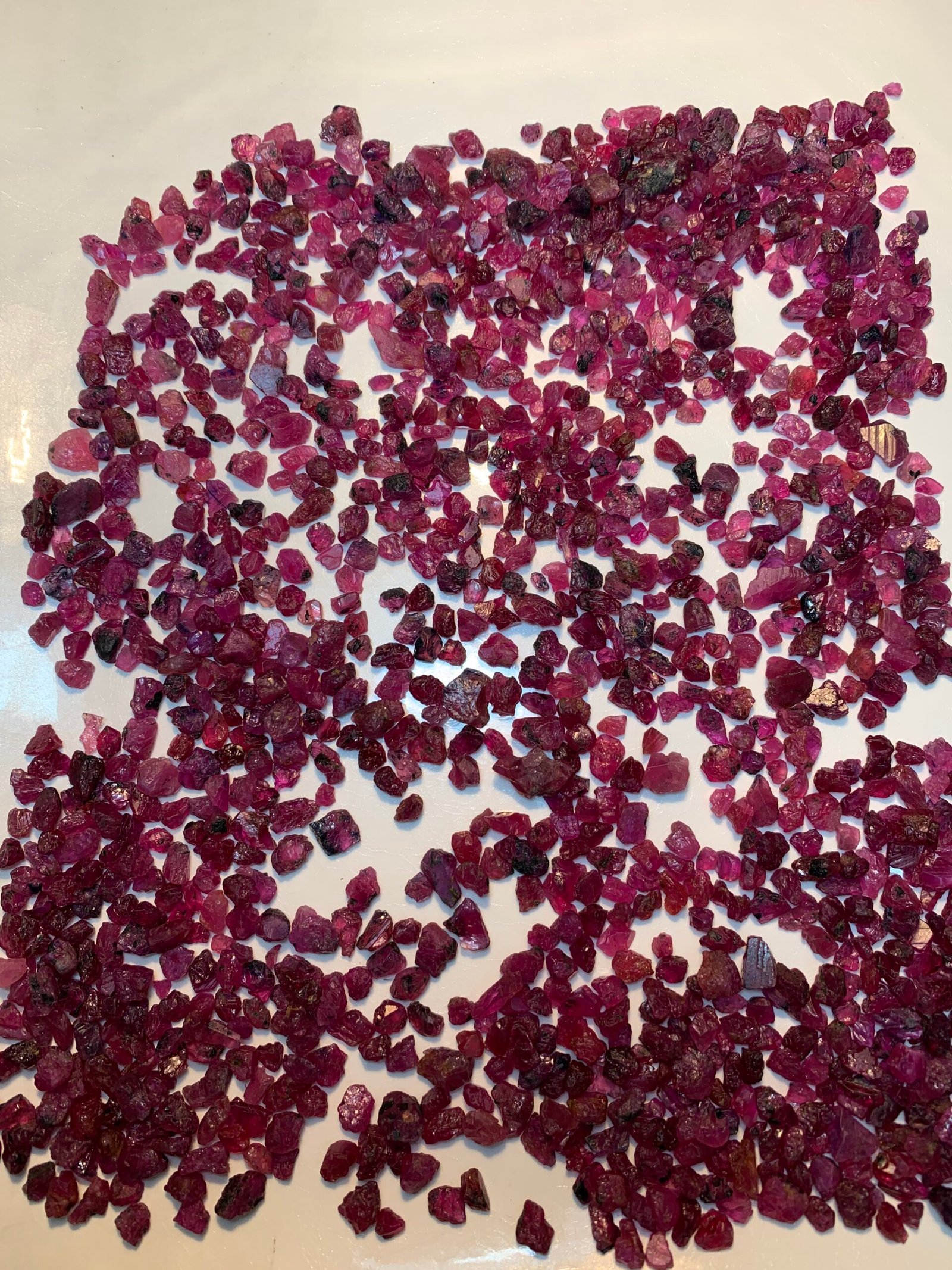 Fine Rough Rubies, 1400 Carats