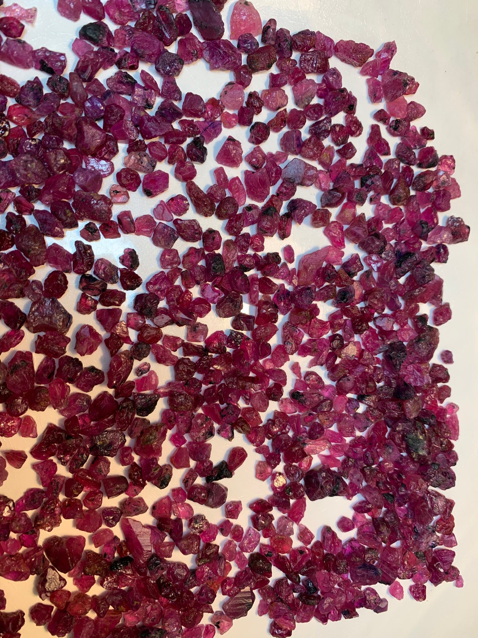Fine Rough Rubies, 1400 Carats - Image 5