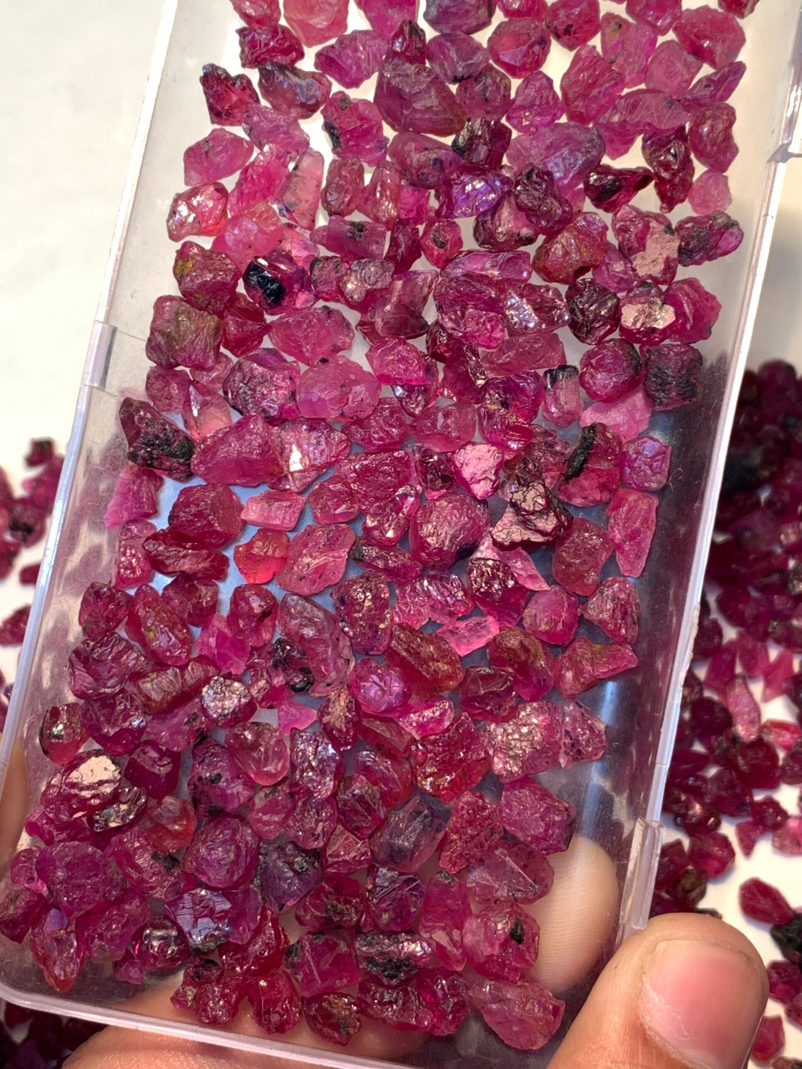 Fine Rough Rubies, 1400 Carats - Image 8