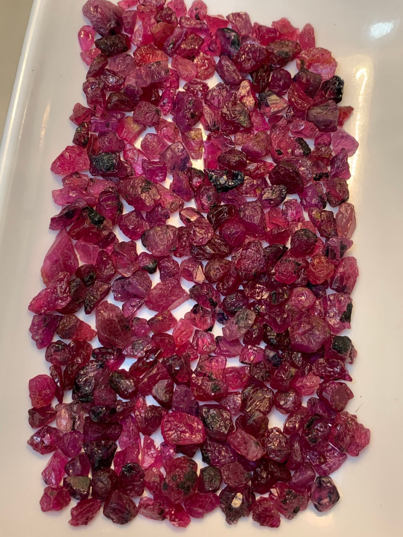 Fine Rough Rubies, 1400 Carats - Image 9