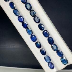 Calibrated Royal Blue Sapphires 20 ct