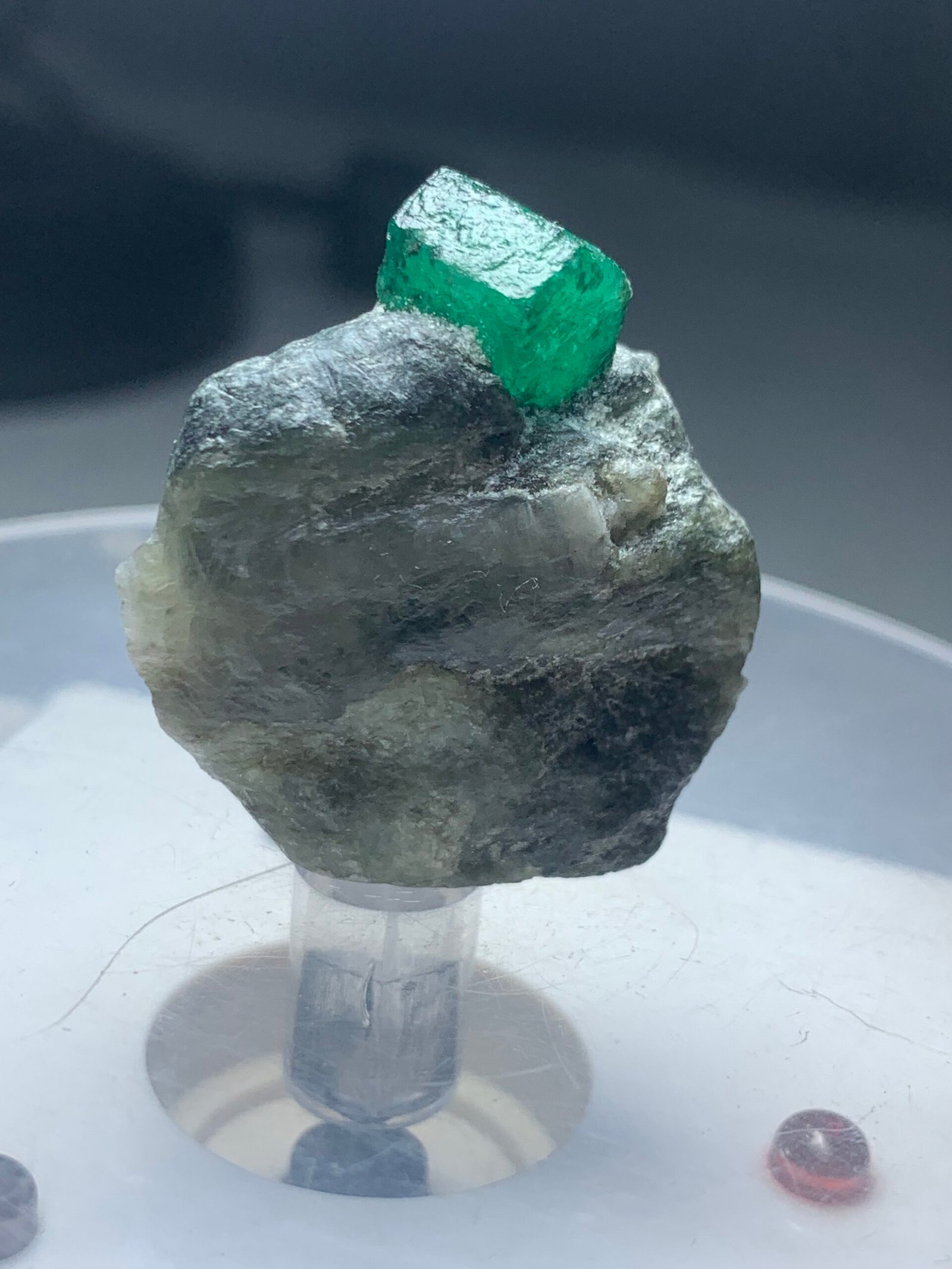 12.5 g collector specimen from Pakistan’s Swat mines