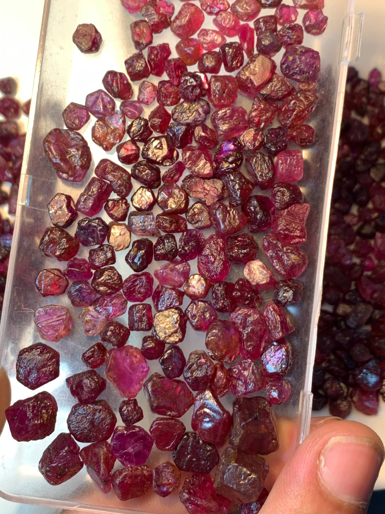 Facet Quality Rough Rubies 1275 Cts - Image 14