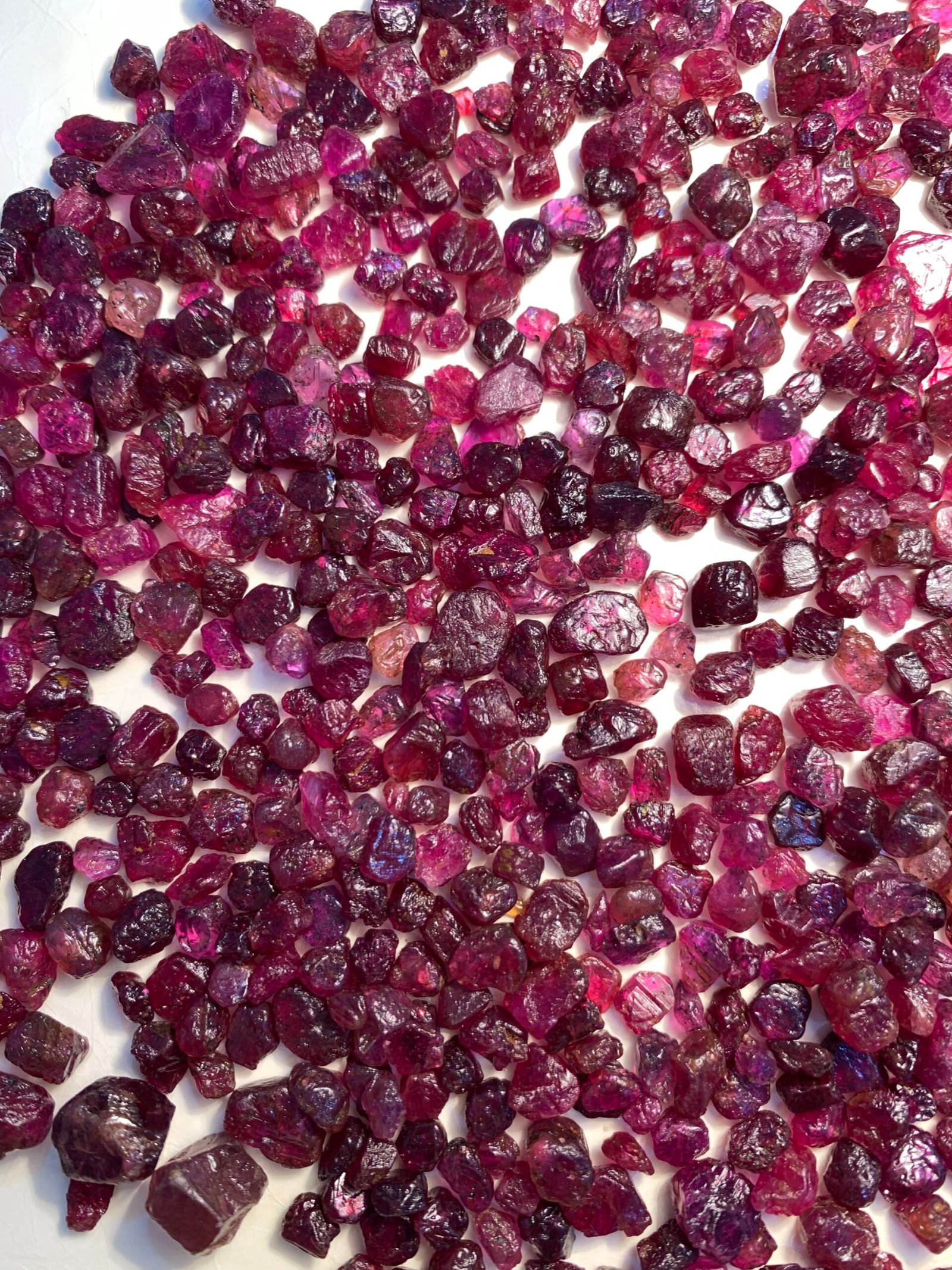 Facet Quality Rough Rubies 1275 Cts - Image 12