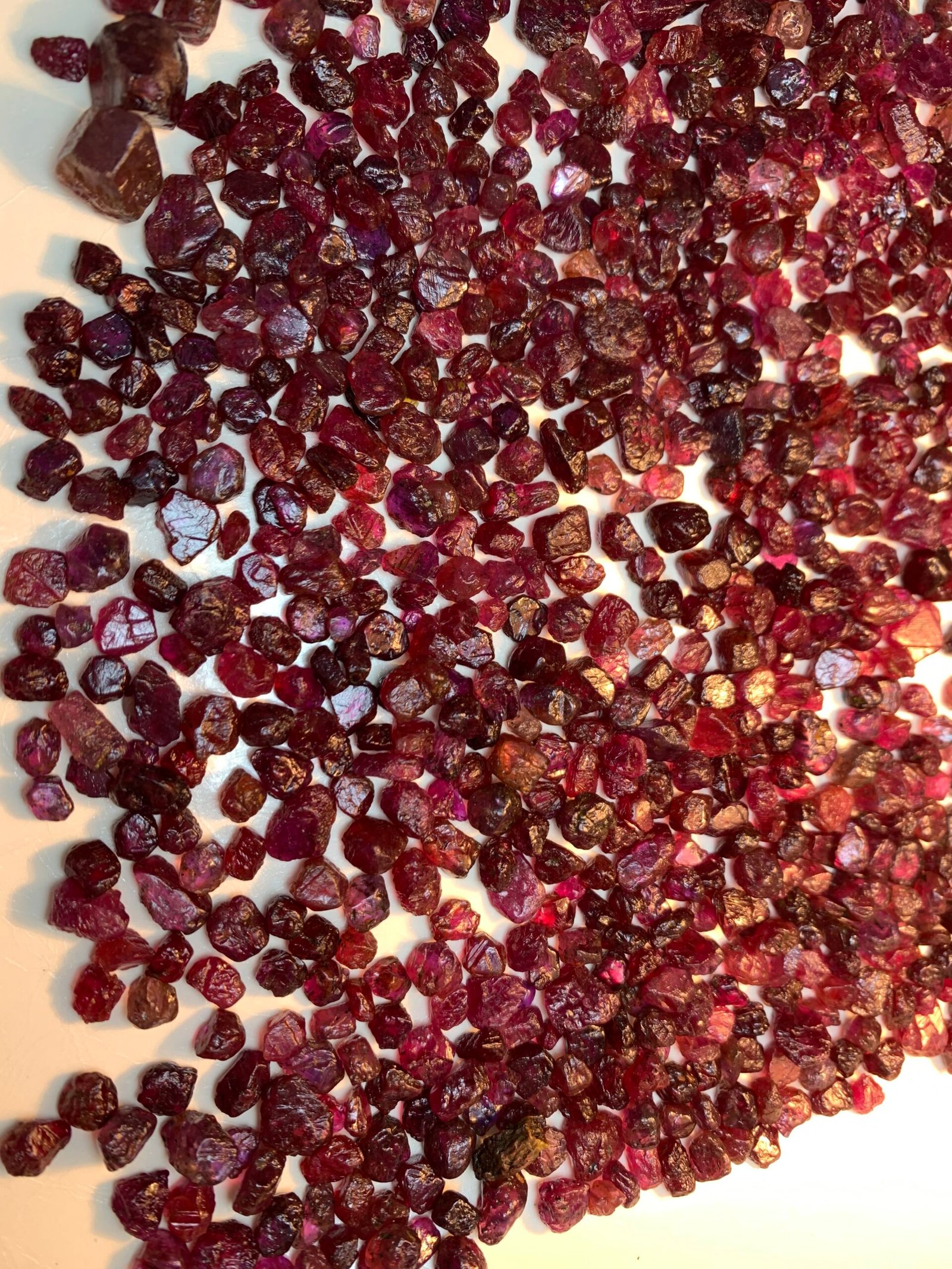 Facet Quality Rough Rubies 1275 Cts - Image 16